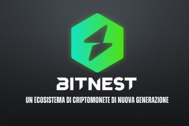 Bitnest